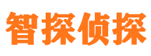 东源市调查公司